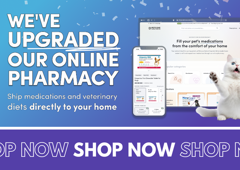 Carousel Slide 3: Shop our new and improved online pet pharmacy